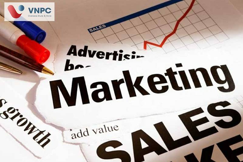 Du học Hàn Quốc ngành Marketing